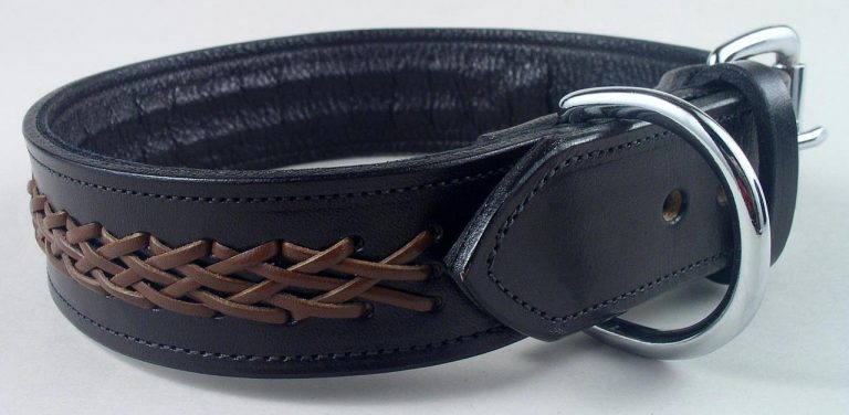 Braided Leather Dog Collar Braided Leather Dog Collar