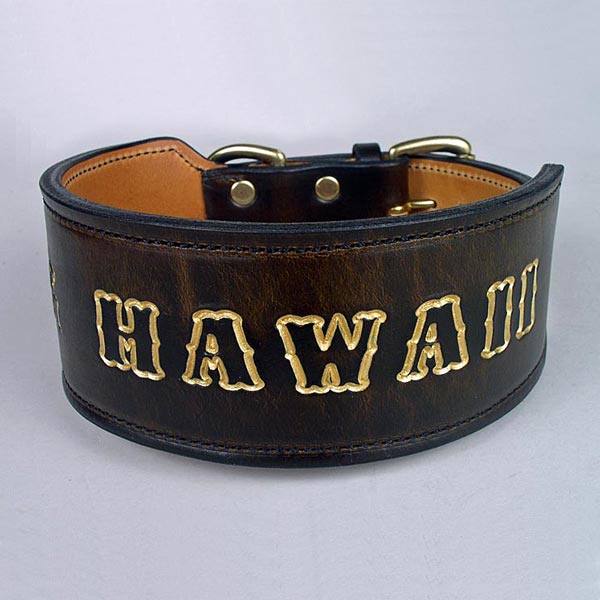 hawaii-dog-collar-1-sq.jpg
