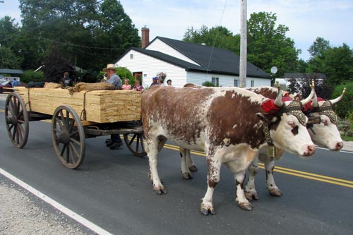 Nova Scotia by ox and wagon