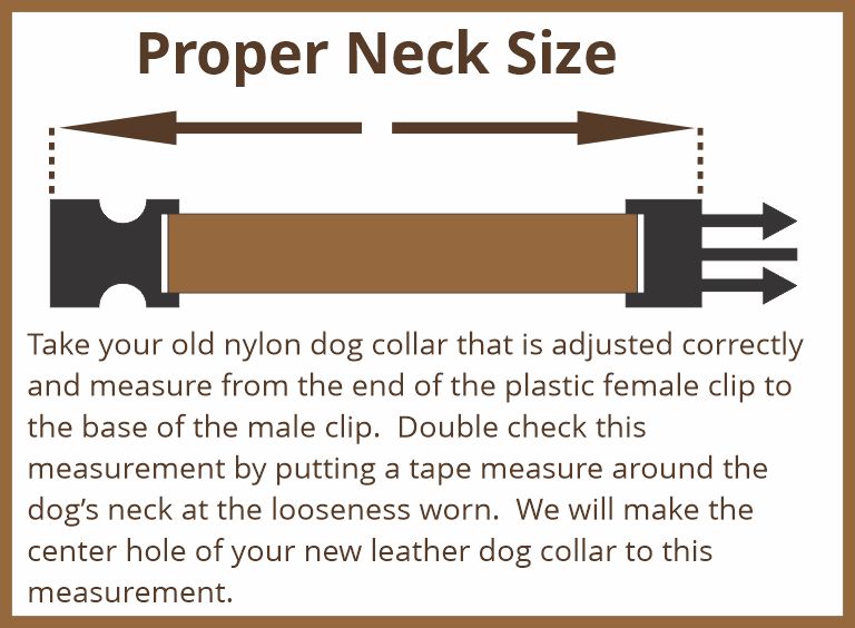 How to Properly Size Dogs' Neck from a Plastic Clip Collar.