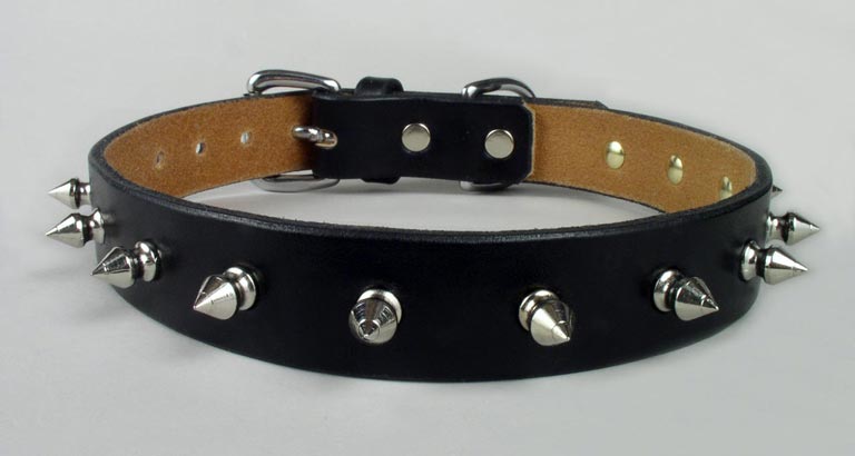 Standard spiked dog collar.