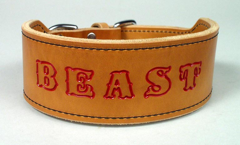 Personalized wide leather dog collar.